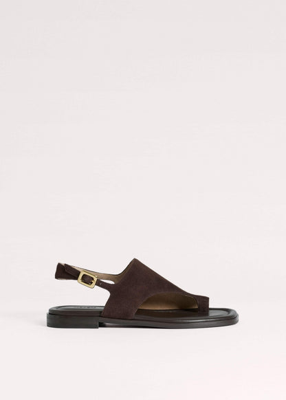 ME+EM Brown Asymmetric Toe Loop Sandal